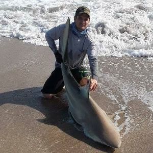 Meet your Posher, Tyler